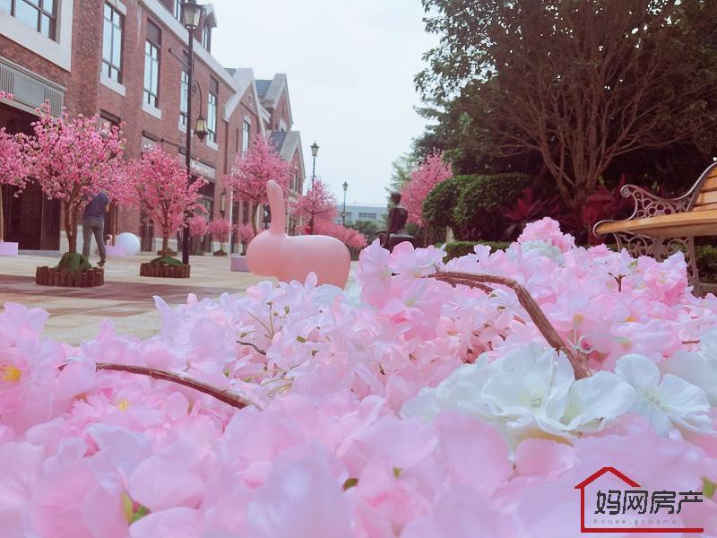 金融街·花溪小镇实景图