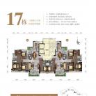 17栋