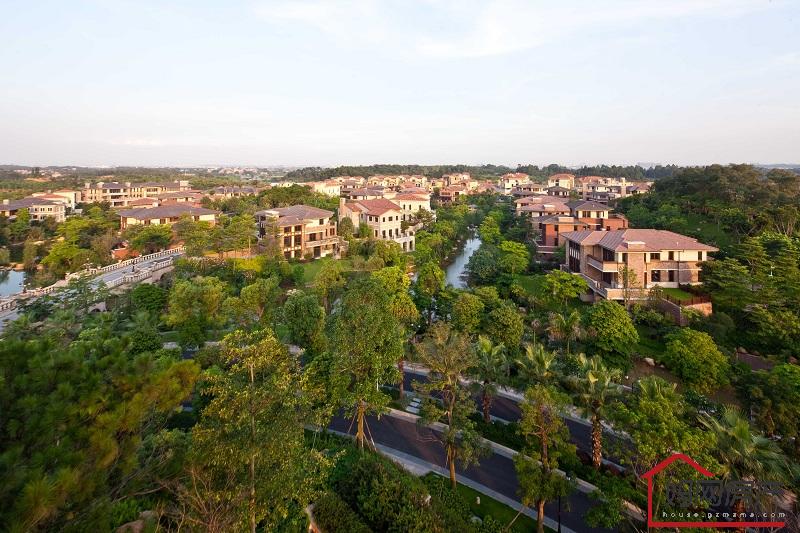 恒大云东海实景图