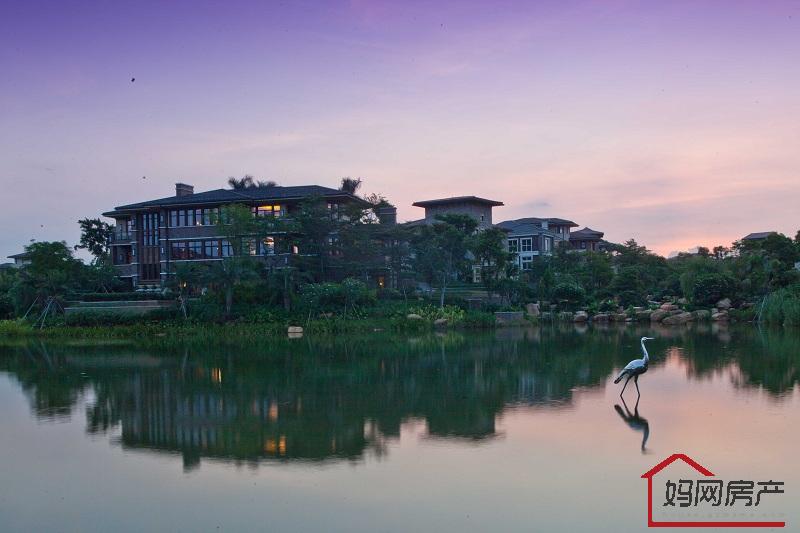 恒大云东海实景图